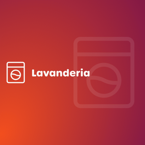 Ilustração para lavanderia