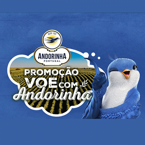 Promoção Voe com Andorinha 2024